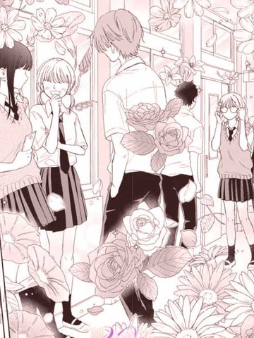 恋爱、眼镜和金盏花