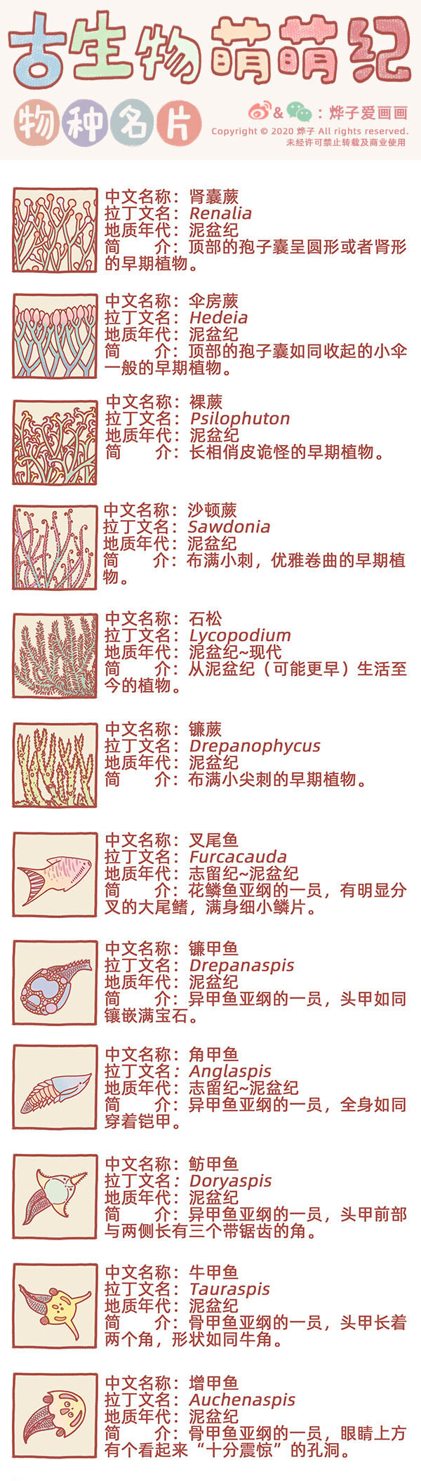 物种名片 泥盆纪10