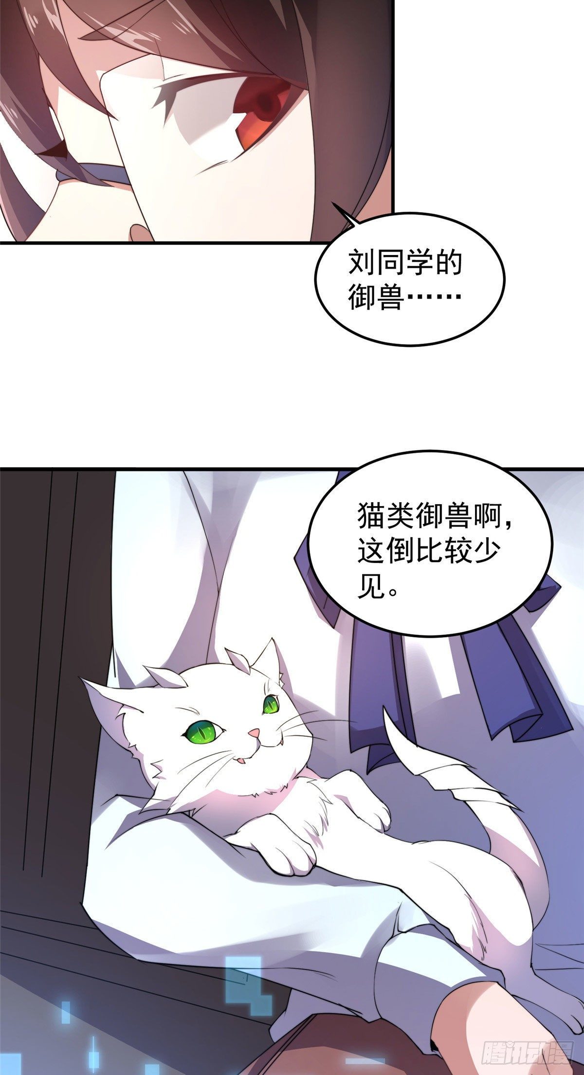 023 薄荷猫9