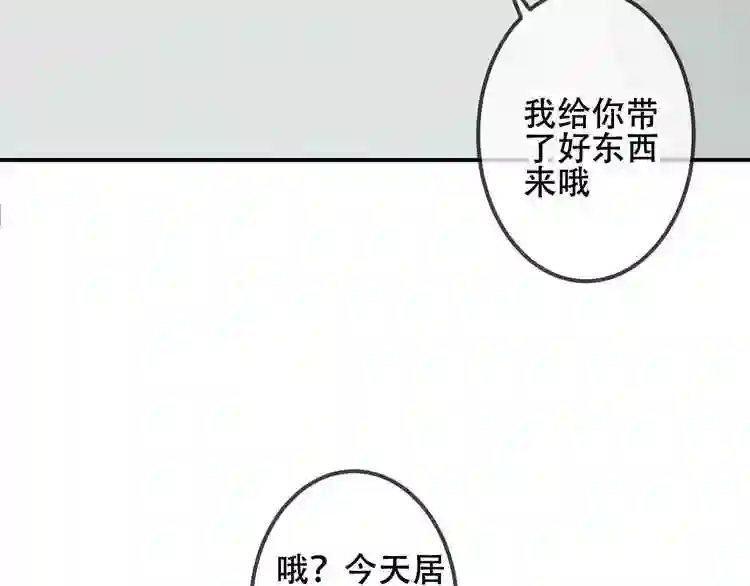 次元旋风系列第三弹6