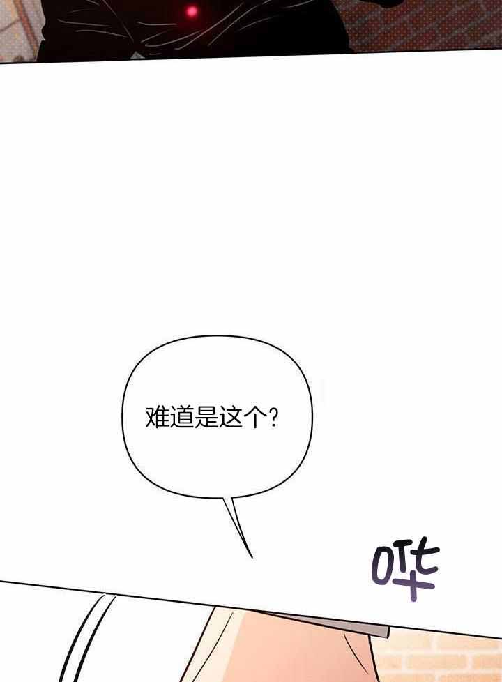 第117话5