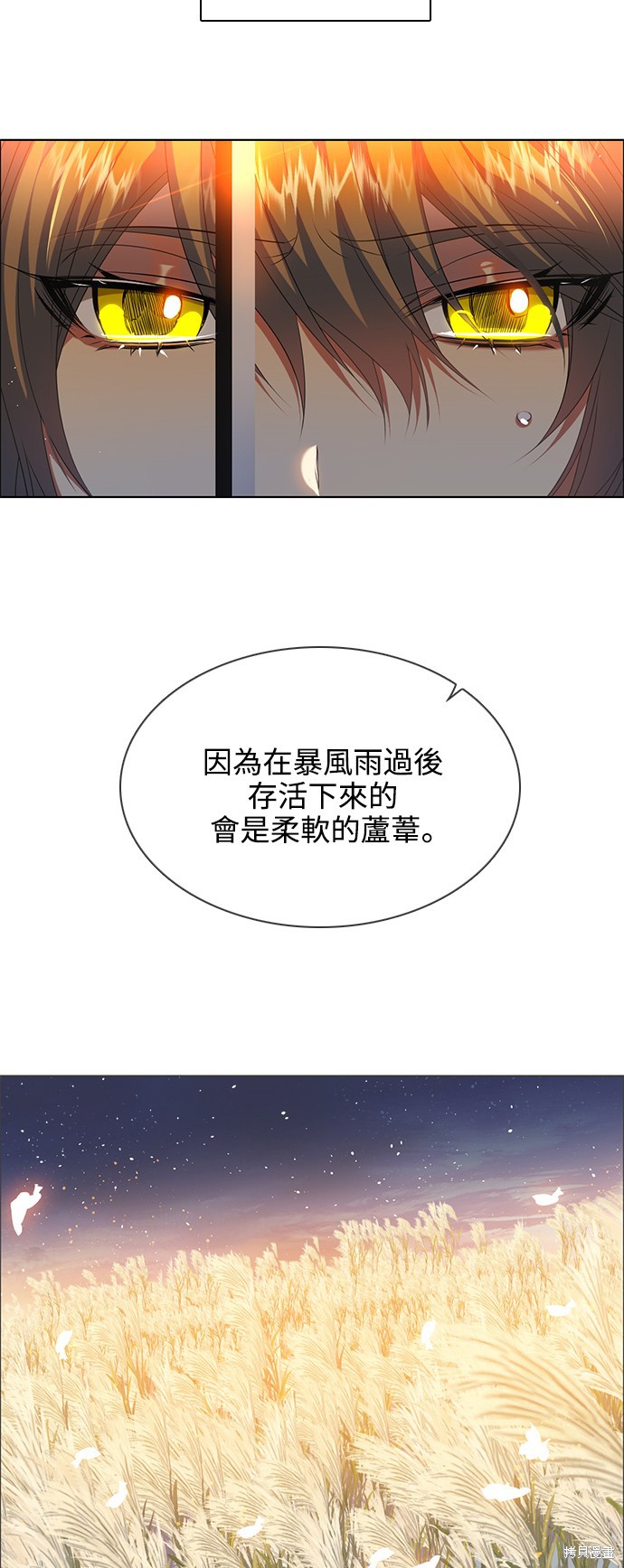 第241话1