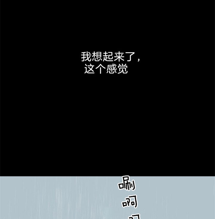 第116话5