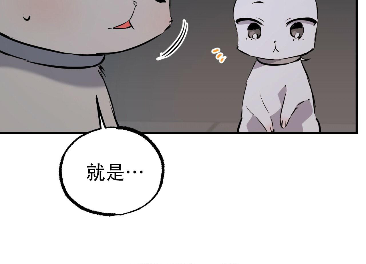 第110话5