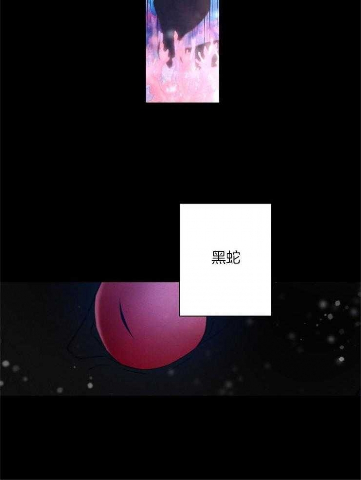 第55话5