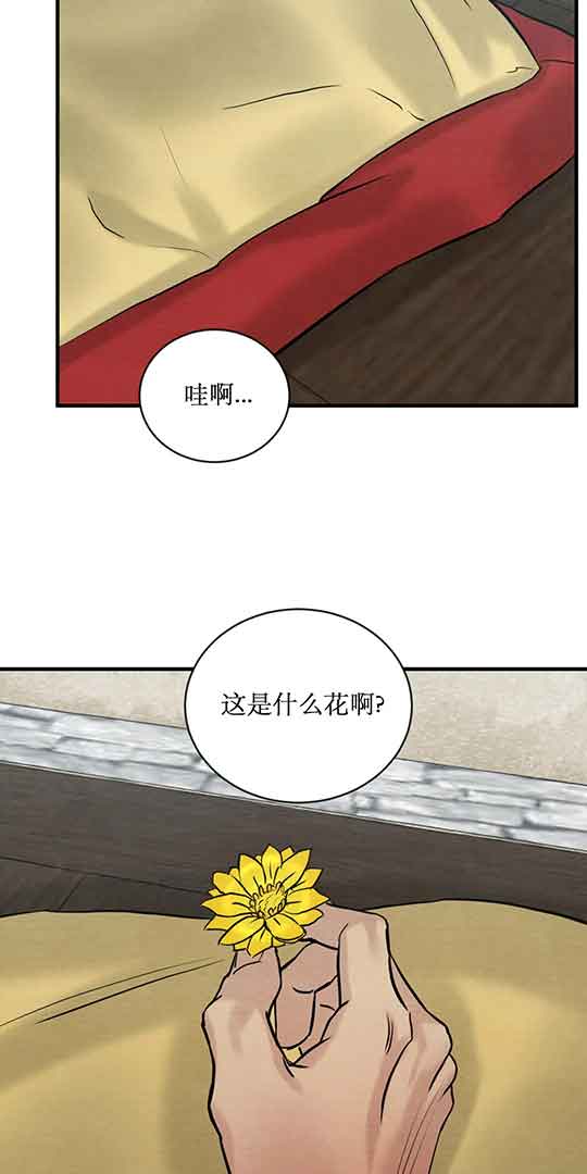 第215话6