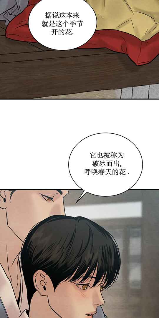 第215话8