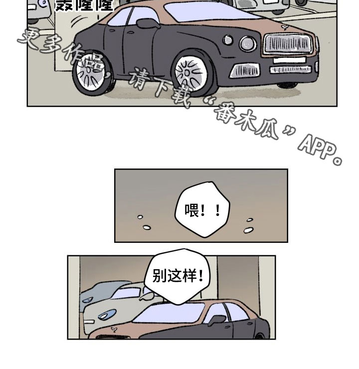 第29章：豪车0