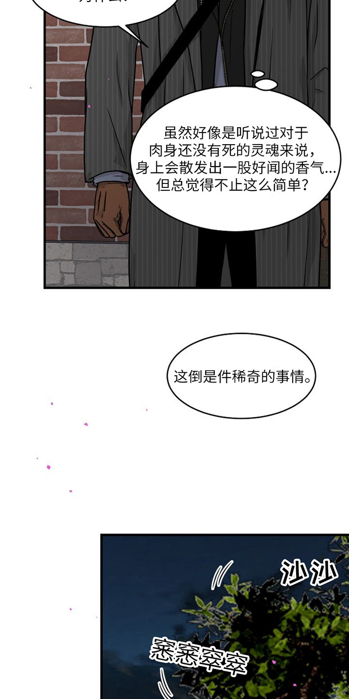 第11章：很稀奇8