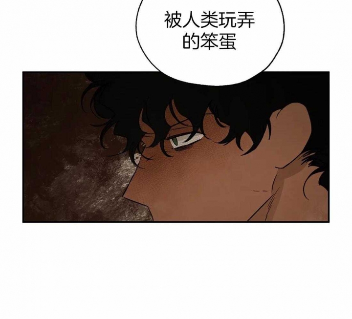 第36话4