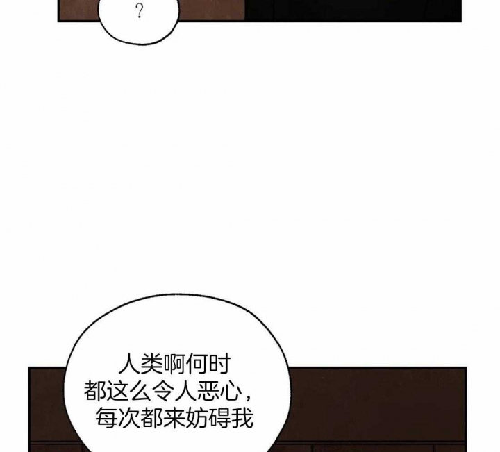 第36话7