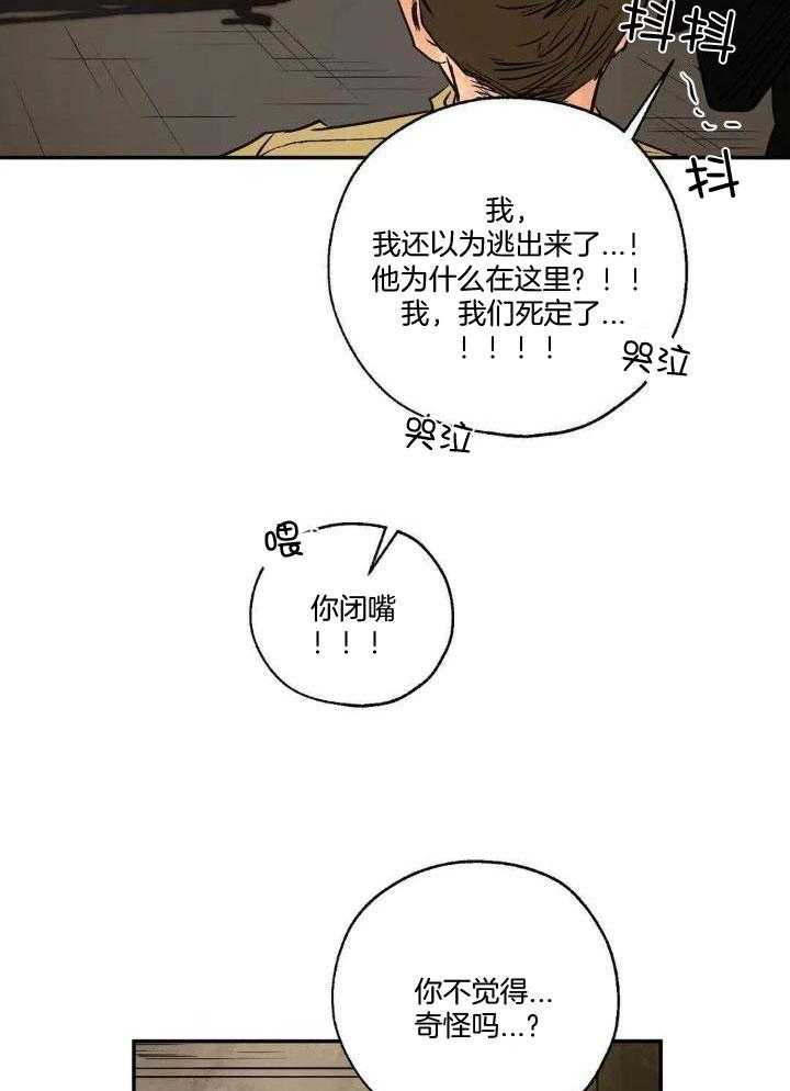 第89话0