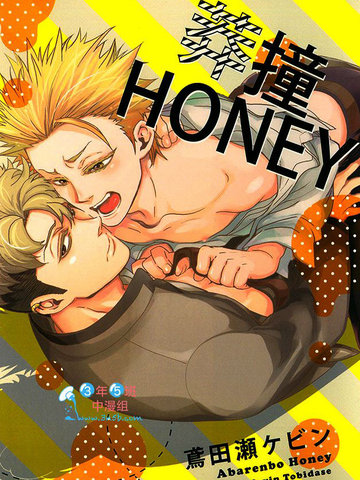Honey Bitter漫画