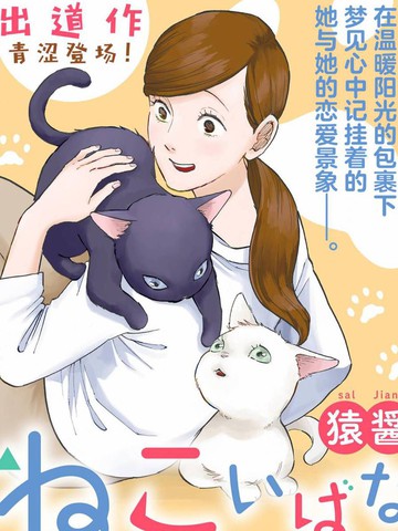 猫恋话物语漫画在线观看