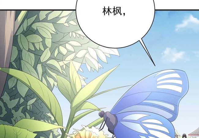 第167话师兄妹（2）5