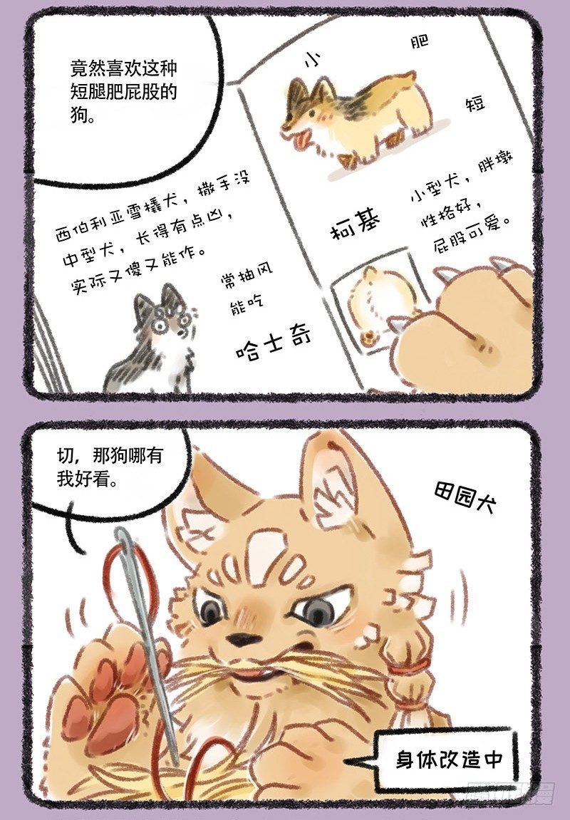 草编狗1