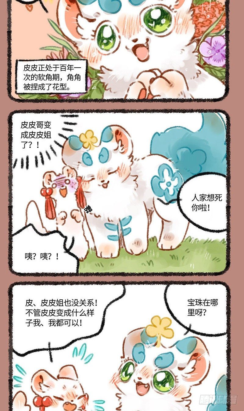 皮皮花1