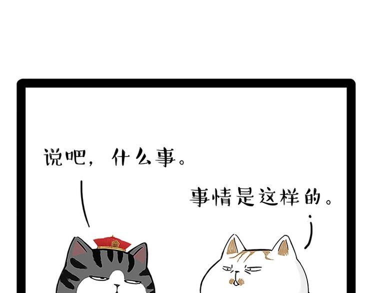 第167话猫王争霸赛5