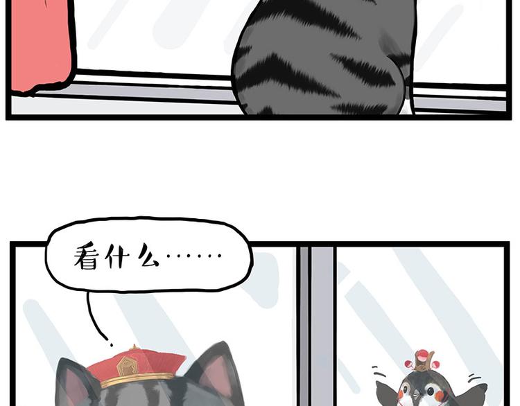 第277话猫斗猫1