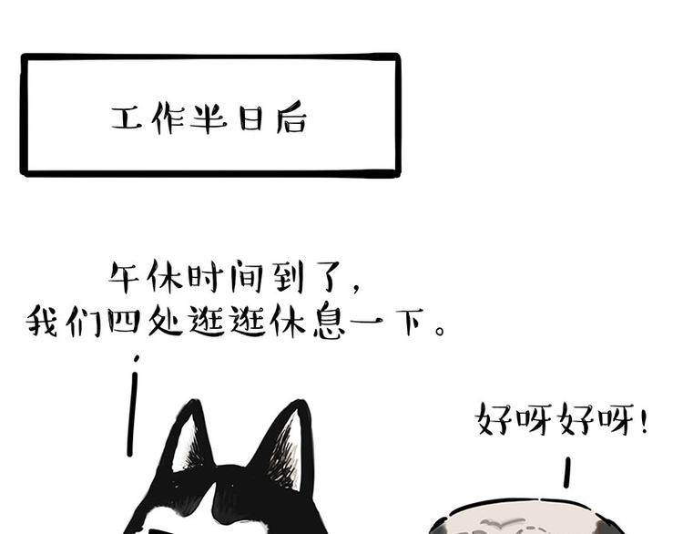 第194话生活不易，猫狗打工8