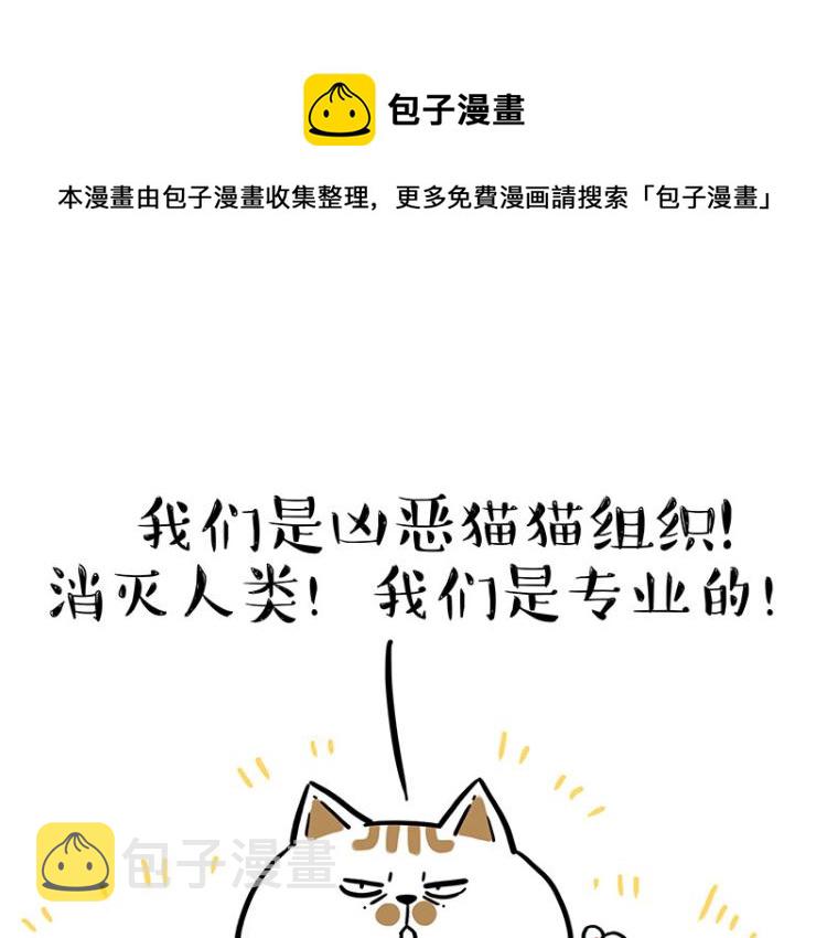 第290话凶恶猫猫组织0