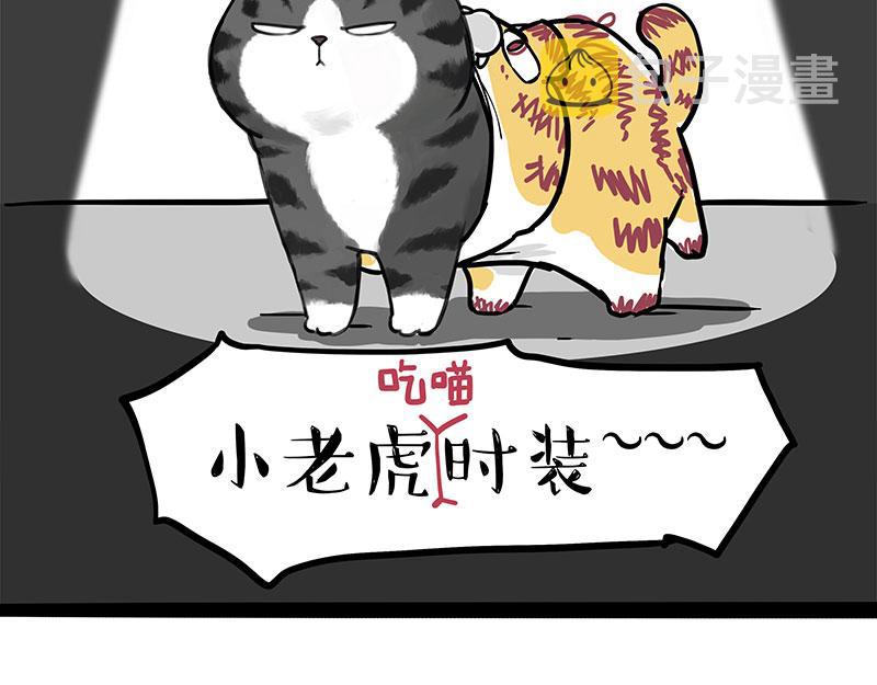 第296话披着虎皮的猫8