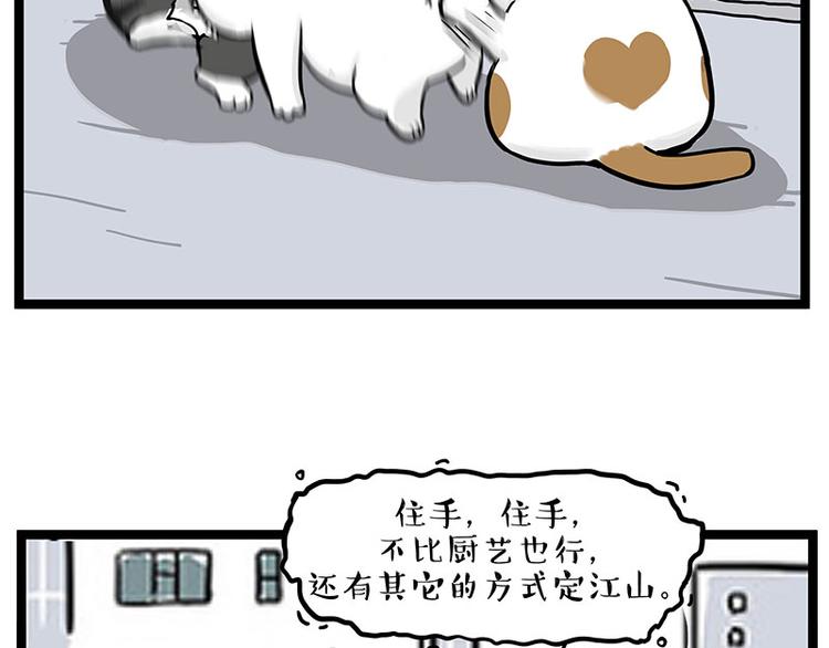 第277话猫斗猫5