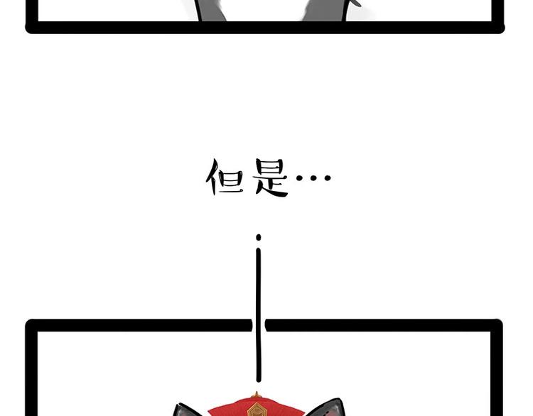 第167话猫王争霸赛9