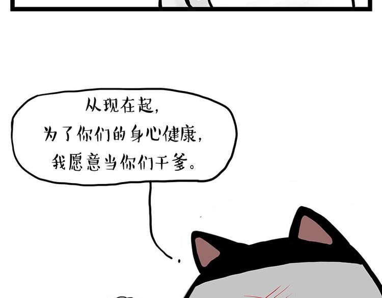 第277话猫斗猫7