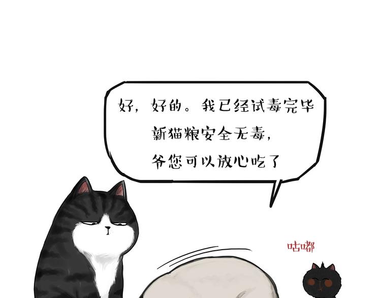 第51话猫和狗的待遇就是不同3