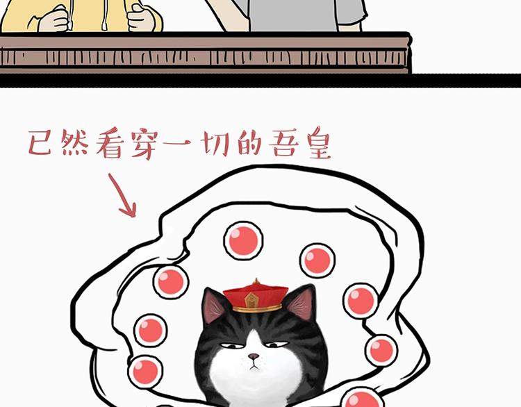 第205话一切都是猫的安排7