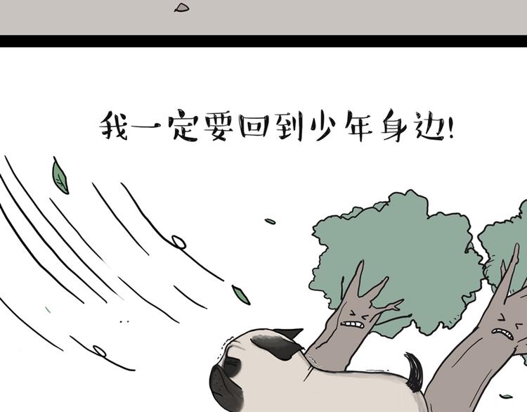 第39话现在的猫狗戏比人都多0