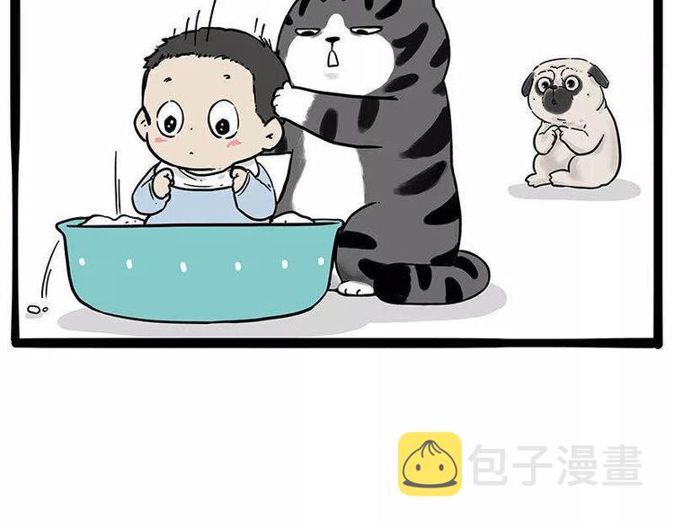 第191话猫猫无证看孩子？！3