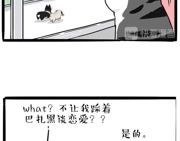 第192话大型爱情翻车现场7