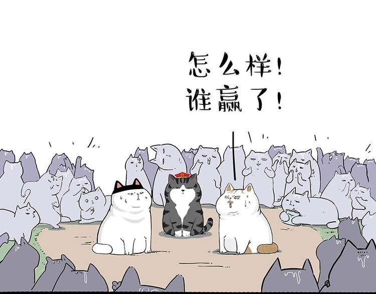 第167话猫王争霸赛4