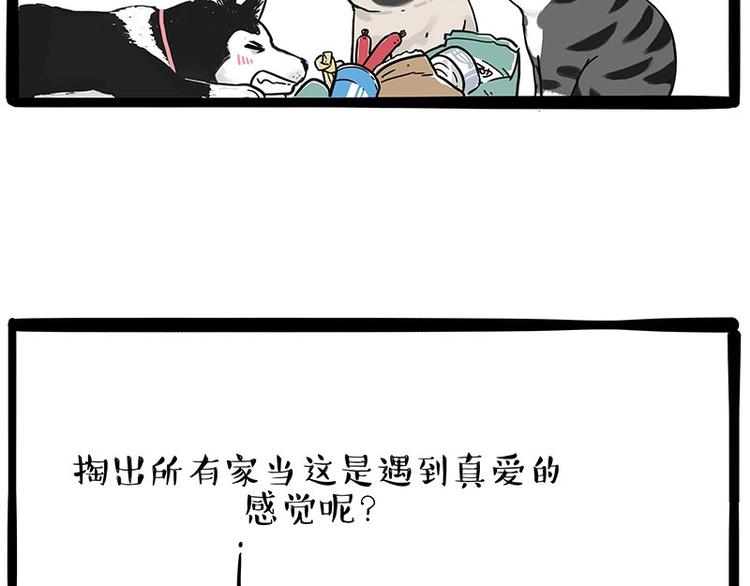 第192话大型爱情翻车现场5