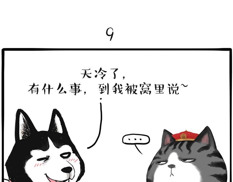 第197话猫怼狗8