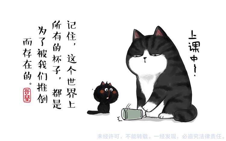 第51话猫和狗的待遇就是不同6