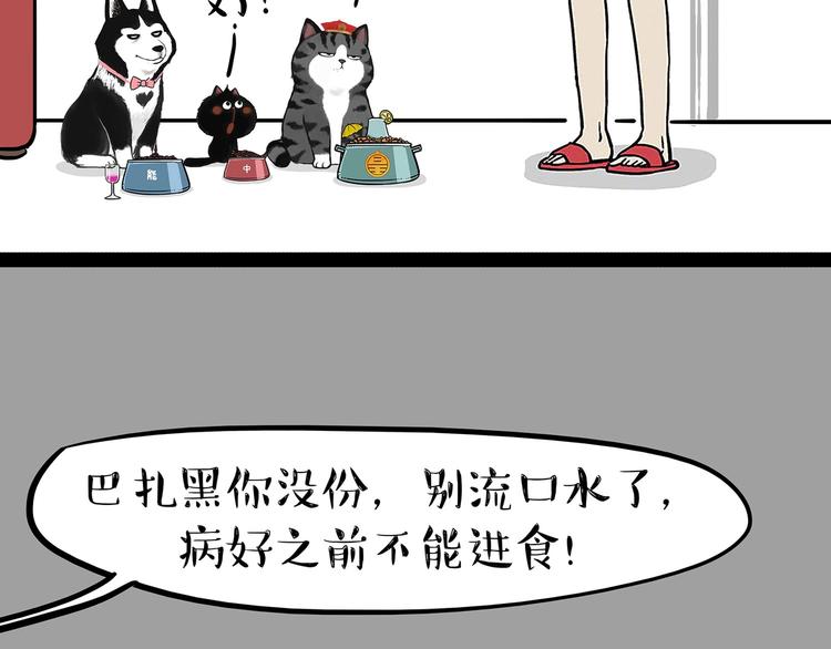 第202话谁动了吾皇的猫粮2