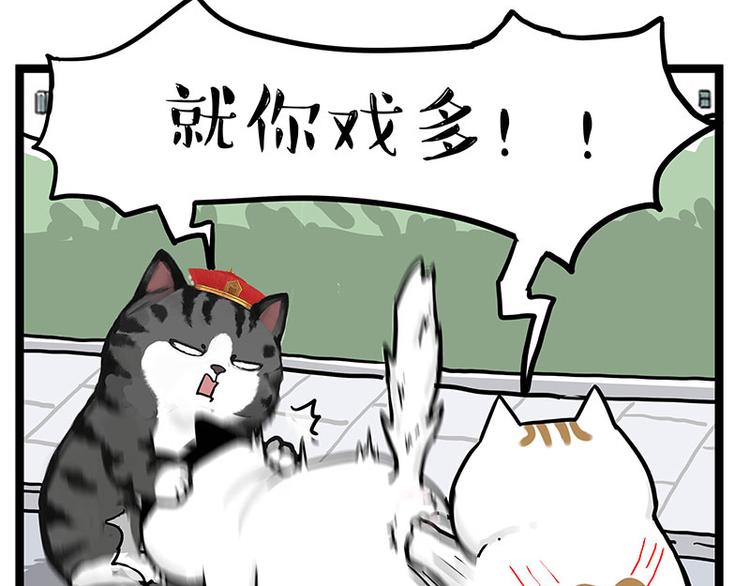 第277话猫斗猫9