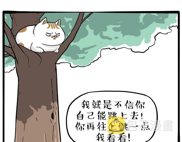 第271话进击的流浪猫！0