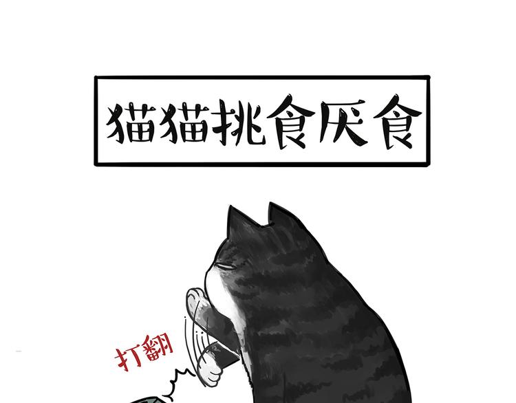 第51话猫和狗的待遇就是不同7