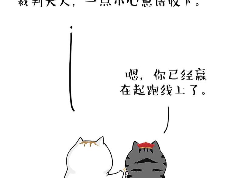 第167话猫王争霸赛2