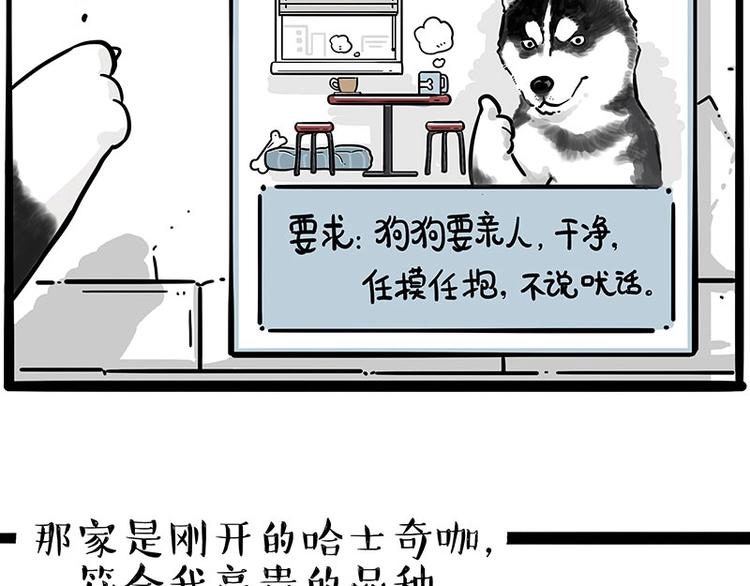 第194话生活不易，猫狗打工2