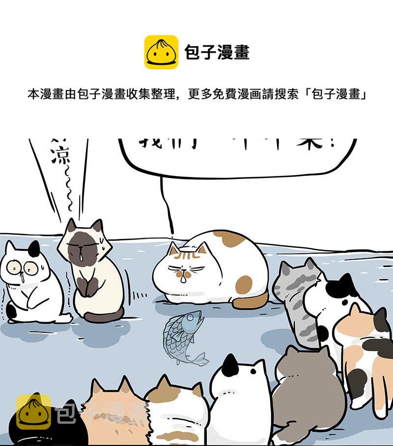 第320话猫孵鱼8