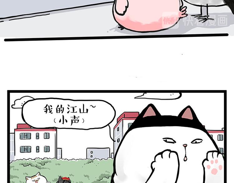 第277话猫斗猫7