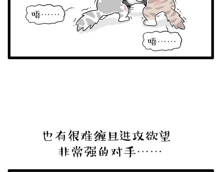 第254话摔角大赛谁与争锋9