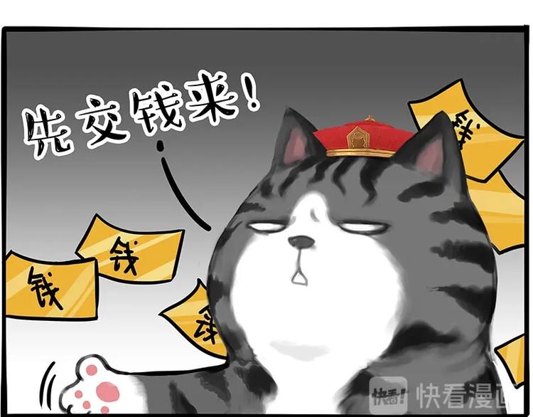 第197话猫怼狗9