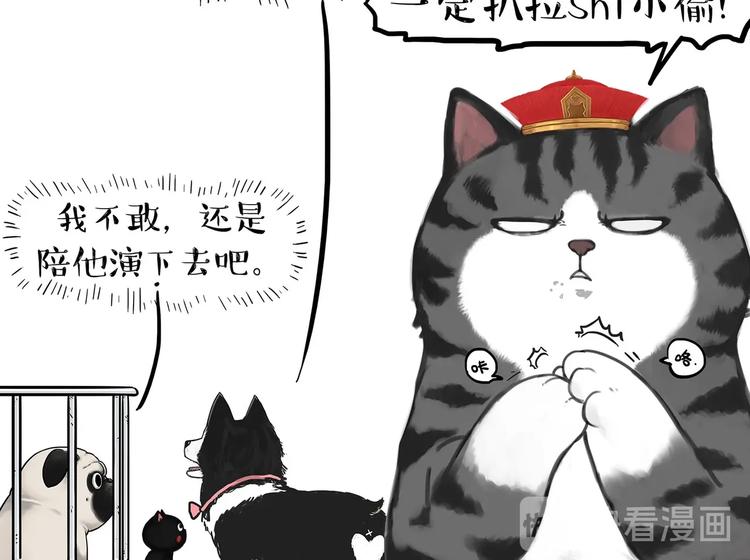 第202话谁动了吾皇的猫粮2