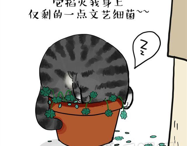 第15话猫引发的朋友圈惨案9